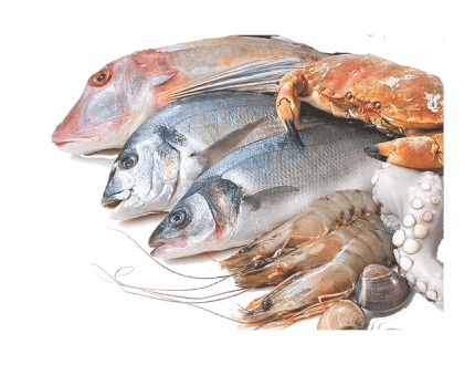 Sea Food & Sweat Water Fish